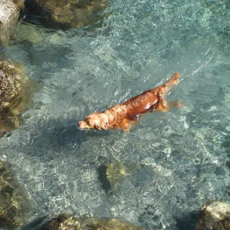 Apartamento Casa Elisabetta Rapallo