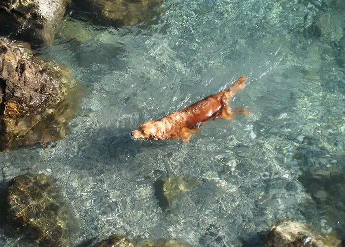 Lägenhet Casa Elisabetta Rapallo